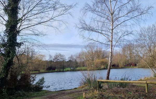 Woodland waters lake